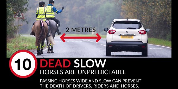 A car passing a horse on a road with text meaning: Horses are unpredictable - 10mph and 2 meters when passing